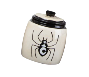 Edina - Color Me Mine Celestial Spider Jar
